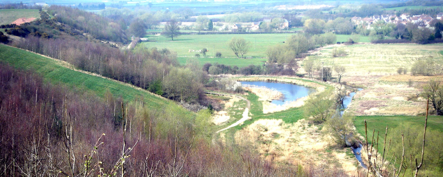 Croft Hill NatureSpot